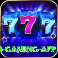 BigWinFree Gold Gaming App