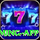 BigWinFree Gold Gaming App