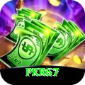 pkr67 - VIP Earning App